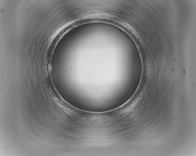 X0000060240830200511111927