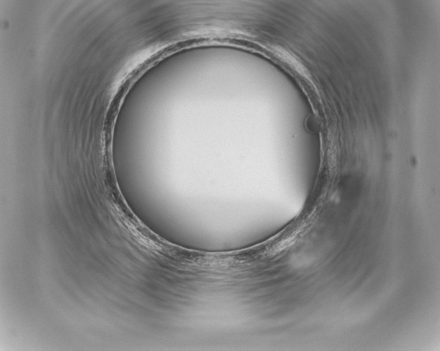 X0000060240831200511111927