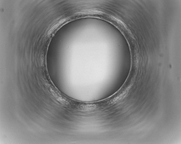 X0000060240833200511111927