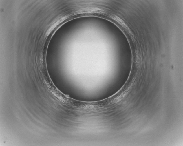 X0000060240834200511111927