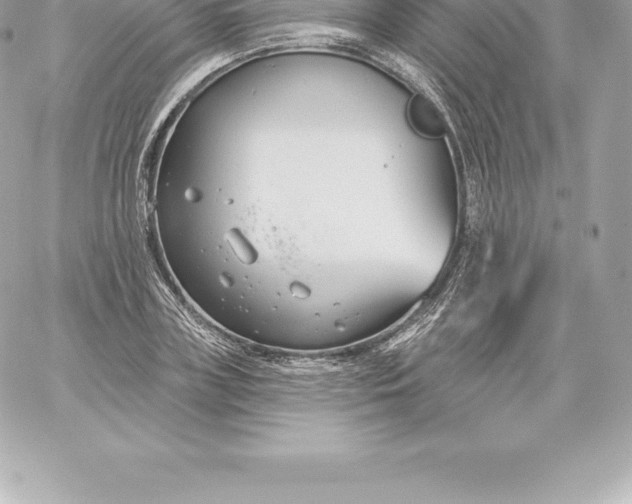 X0000060240835200511111927