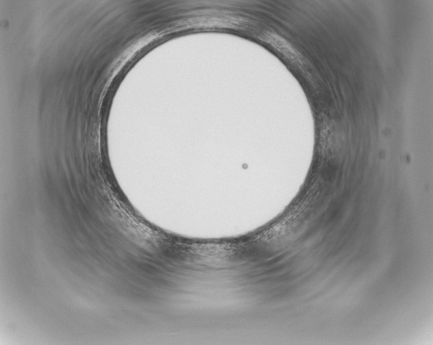 X0000060240836200511111927