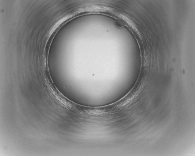 X0000060240837200511111927