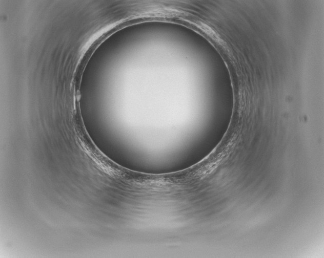 X0000060240838200511111927