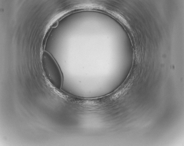 X0000060240839200511111927