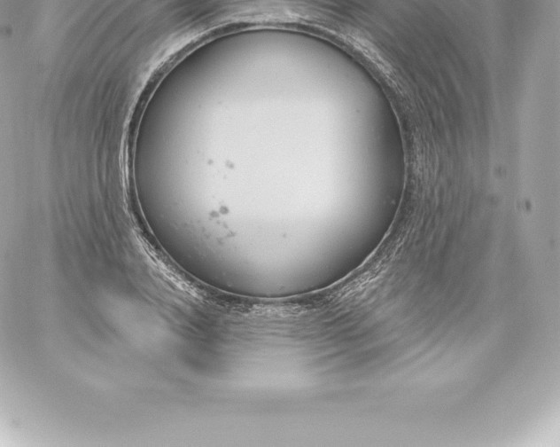 X0000060240840200511111927