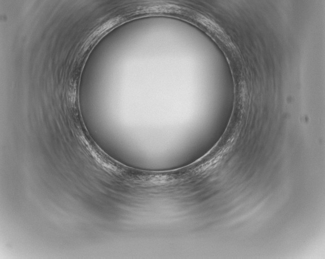 X0000060240841200511111927