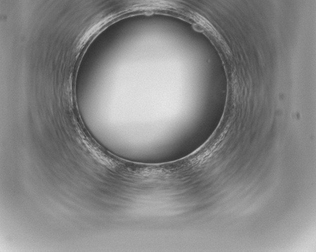 X0000060240842200511111927