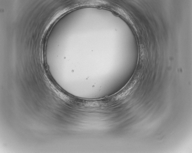 X0000060240843200511111927