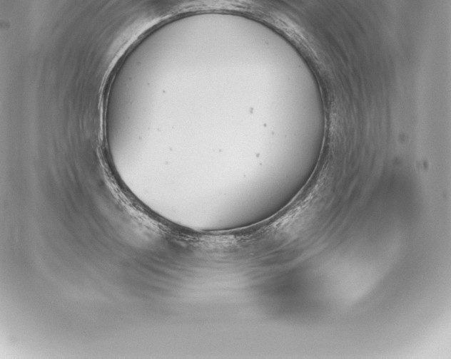 X0000060240844200511111927