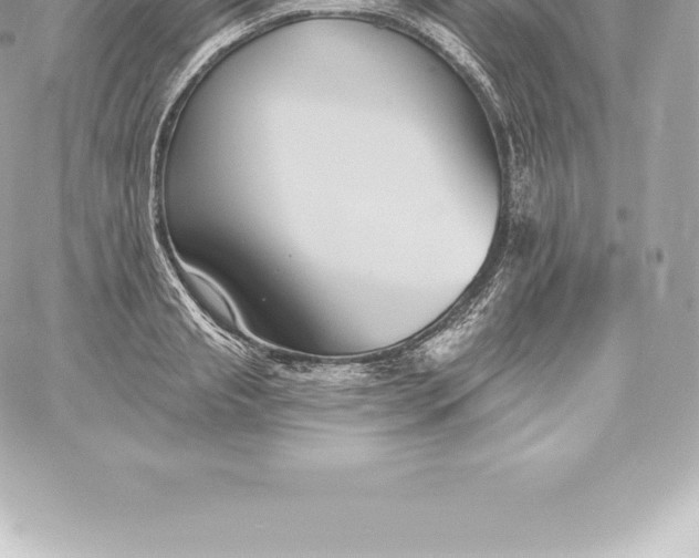 X0000060240845200511111927