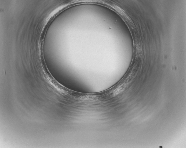 X0000060240846200511111927