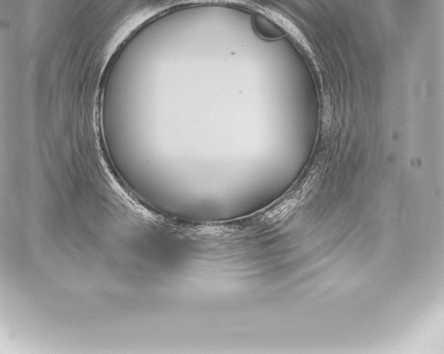 X0000060240847200511111927