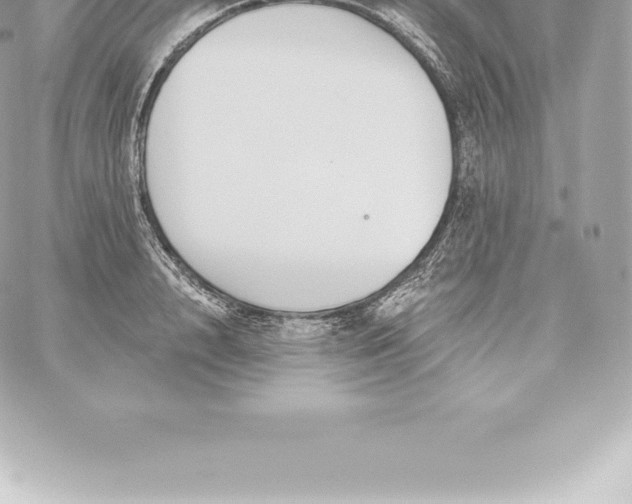 X0000060240848200511111927