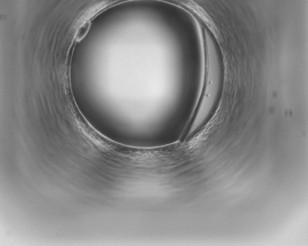 X0000060240850200511111927