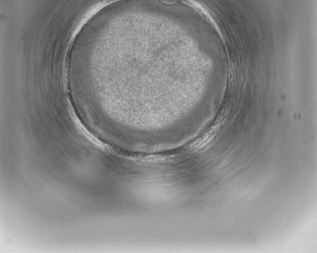 X0000060240851200511111927