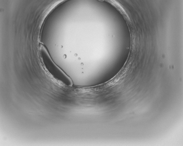 X0000060240852200511111927