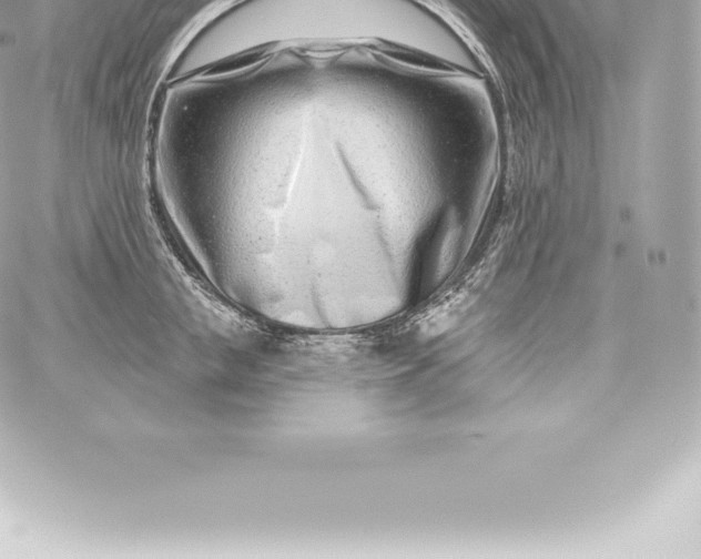 X0000060240853200511111927