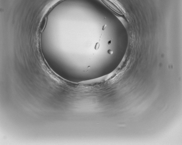 X0000060240854200511111927