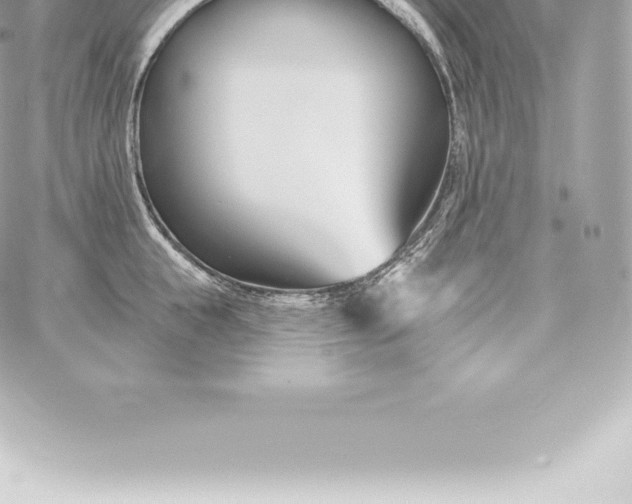 X0000060240855200511111927