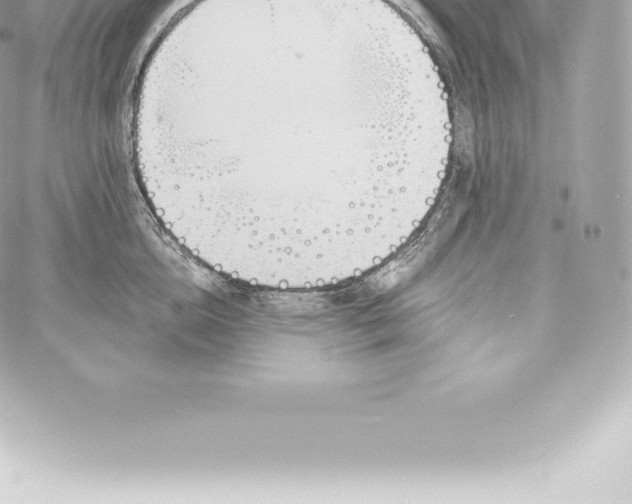 X0000060240856200511111927