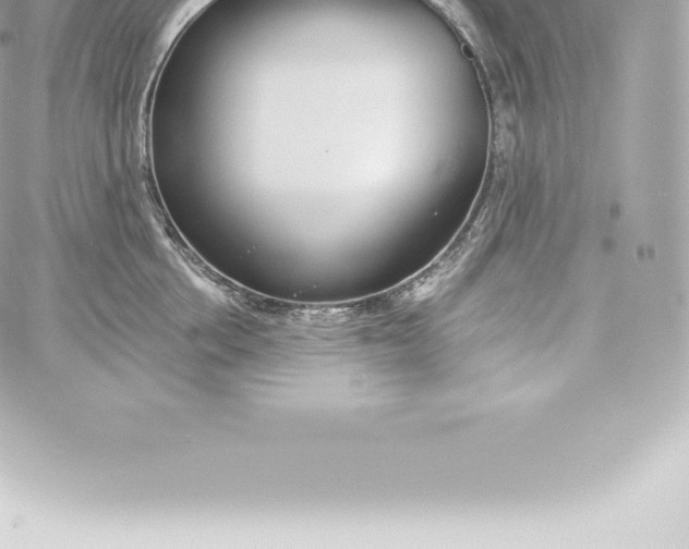 X0000060240858200511111928