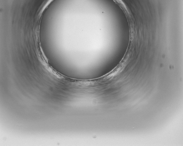 X0000060240860200511111928