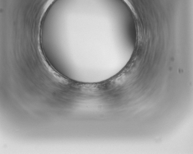 X0000060240861200511111928