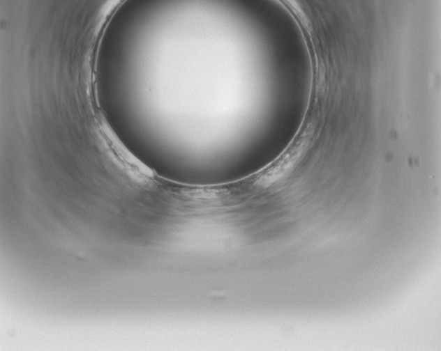 X0000060240862200511111928