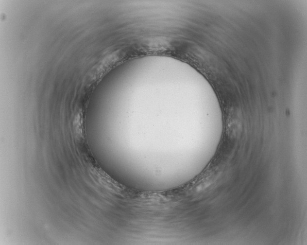 X0000060240866200511111927