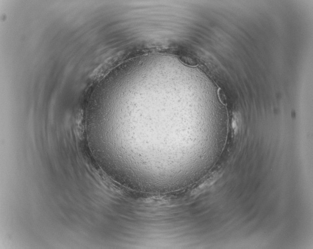 X0000060240867200511111927