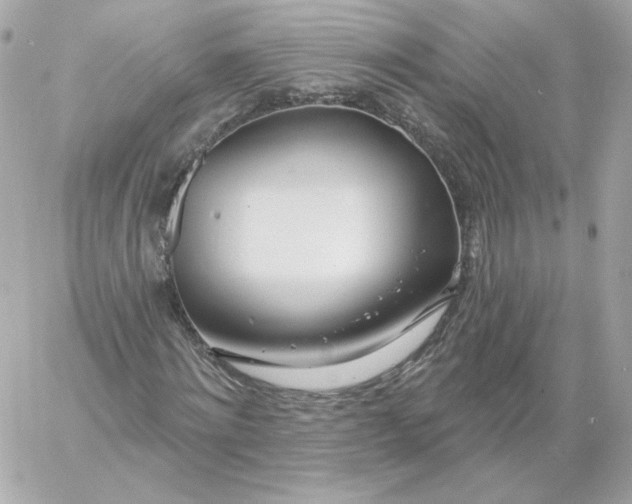 X0000060240868200511111927