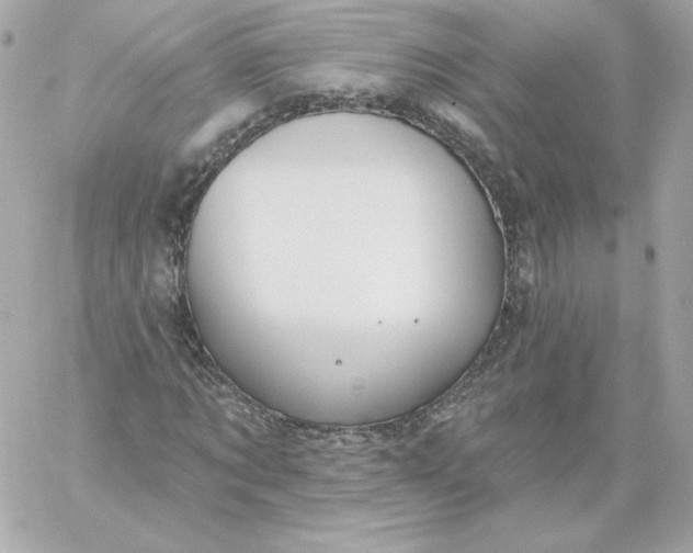 X0000060240869200511111927