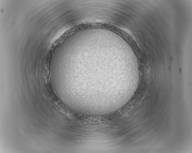 X0000060240871200511111927