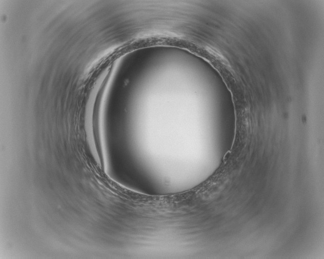 X0000060240872200511111927