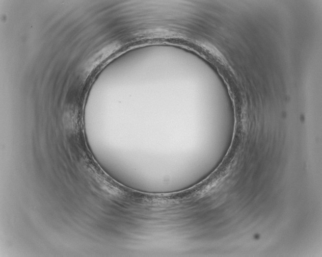 X0000060240873200511111927