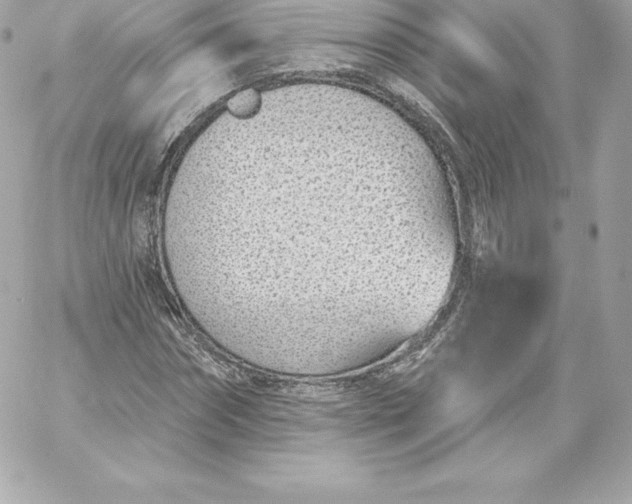 X0000060240874200511111927