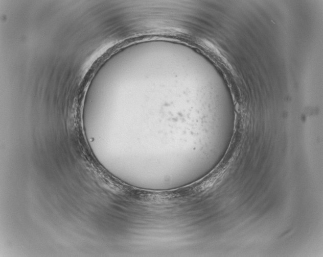 X0000060240875200511111927