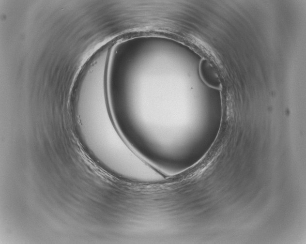 X0000060240876200511111927