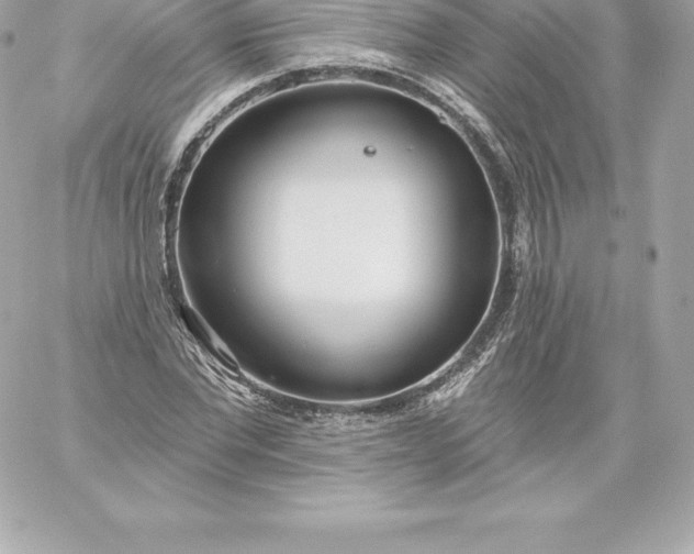 X0000060240877200511111927