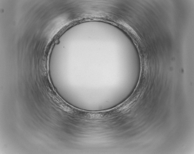 X0000060240878200511111927