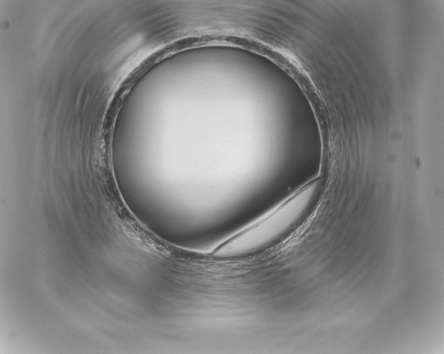 X0000060240879200511111927