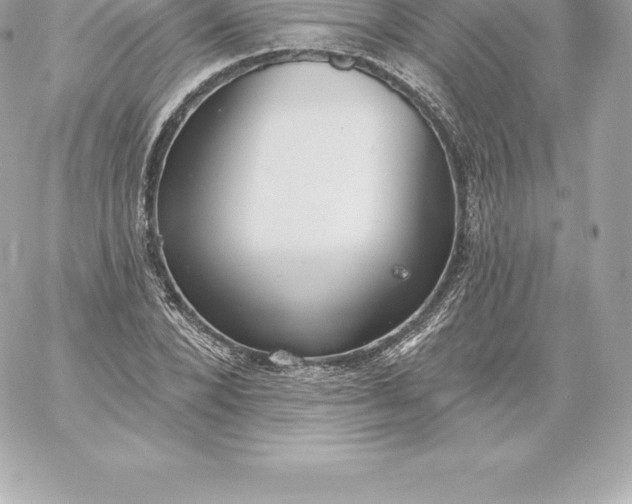 X0000060240880200511111927