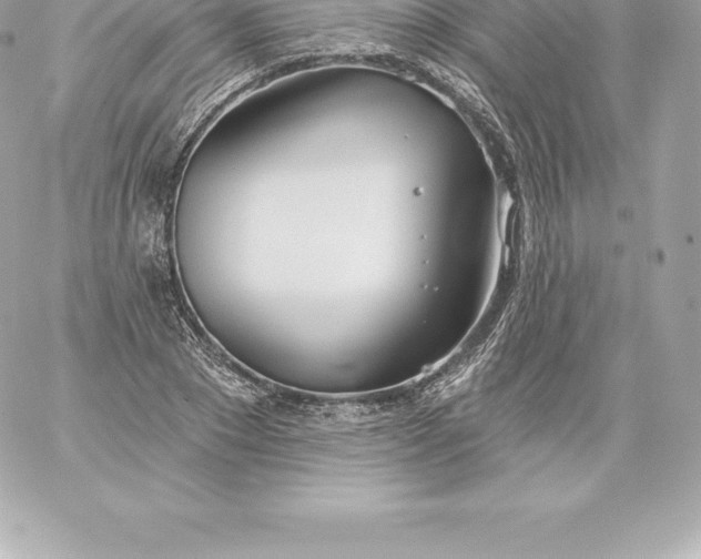 X0000060240881200511111927