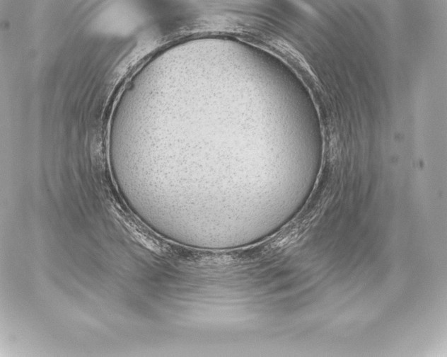 X0000060240882200511111927