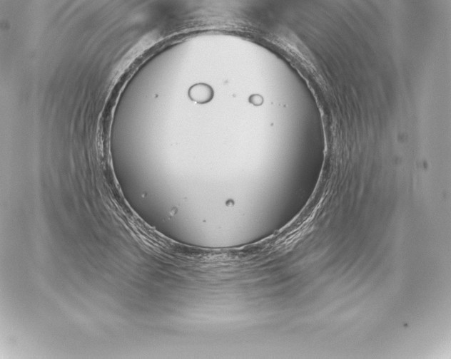 X0000060240883200511111926