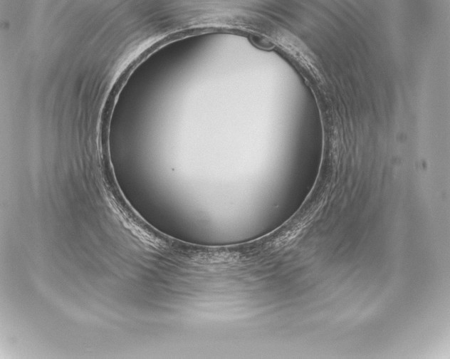 X0000060240884200511111926