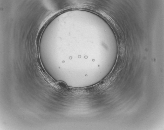 X0000060240886200511111926