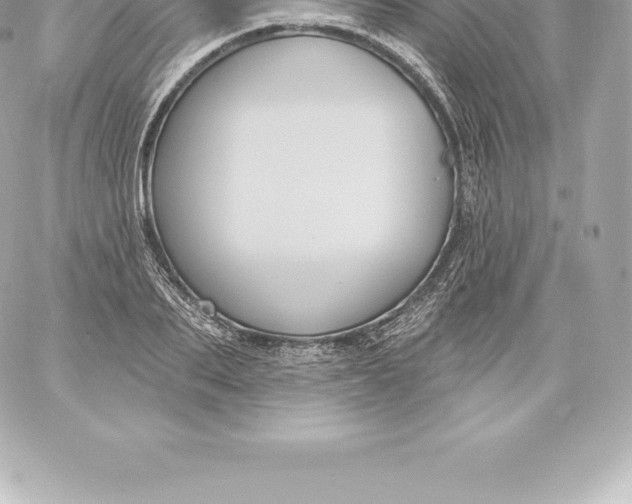 X0000060240887200511111926