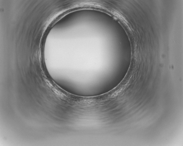 X0000060240888200511111926